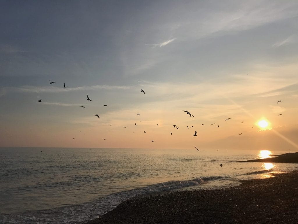 Beach in hove.