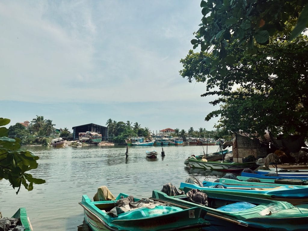 Boats on negombo lagoon.