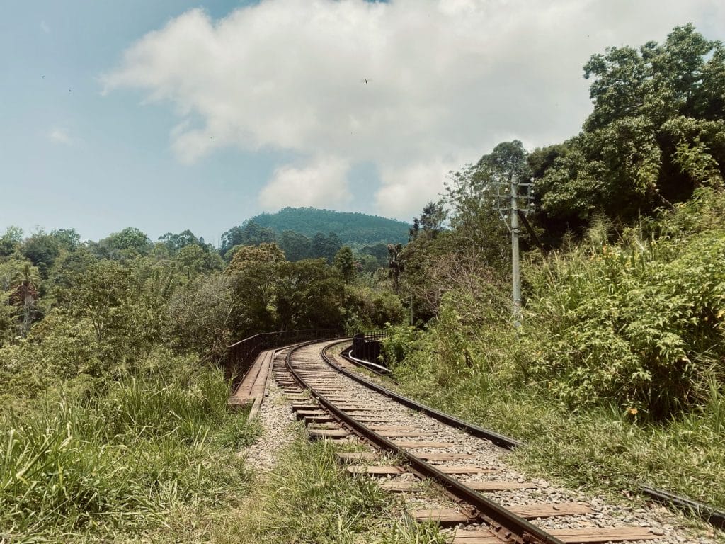 Train tracks in ella.