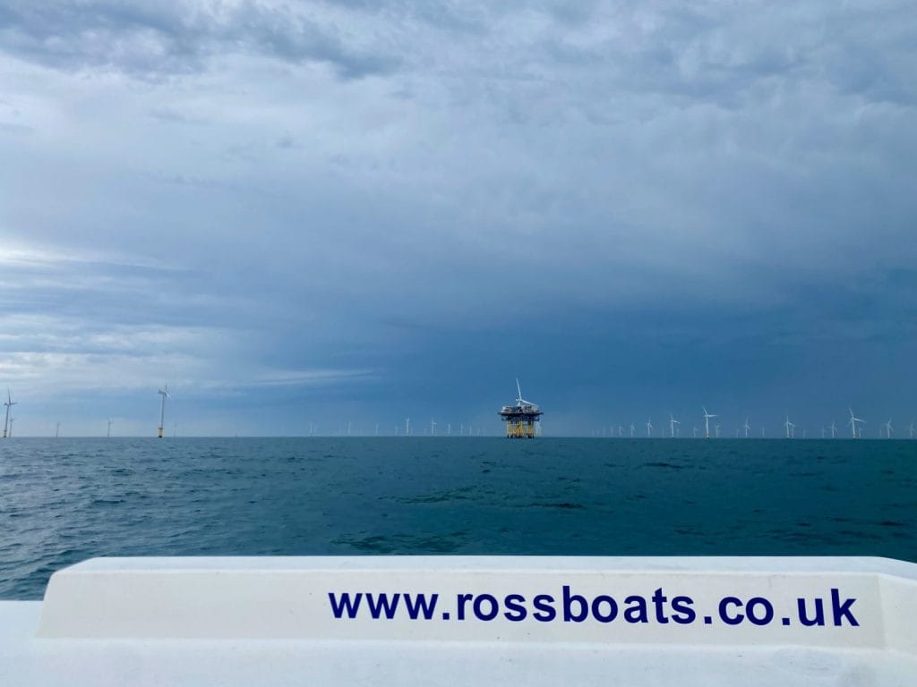 View of brighton wind farm from ross boats.