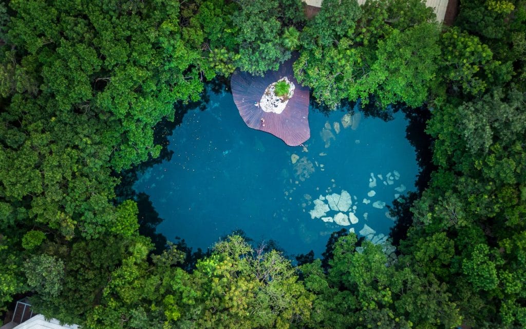 Bird's eye view of cenotes in playa del carmen.