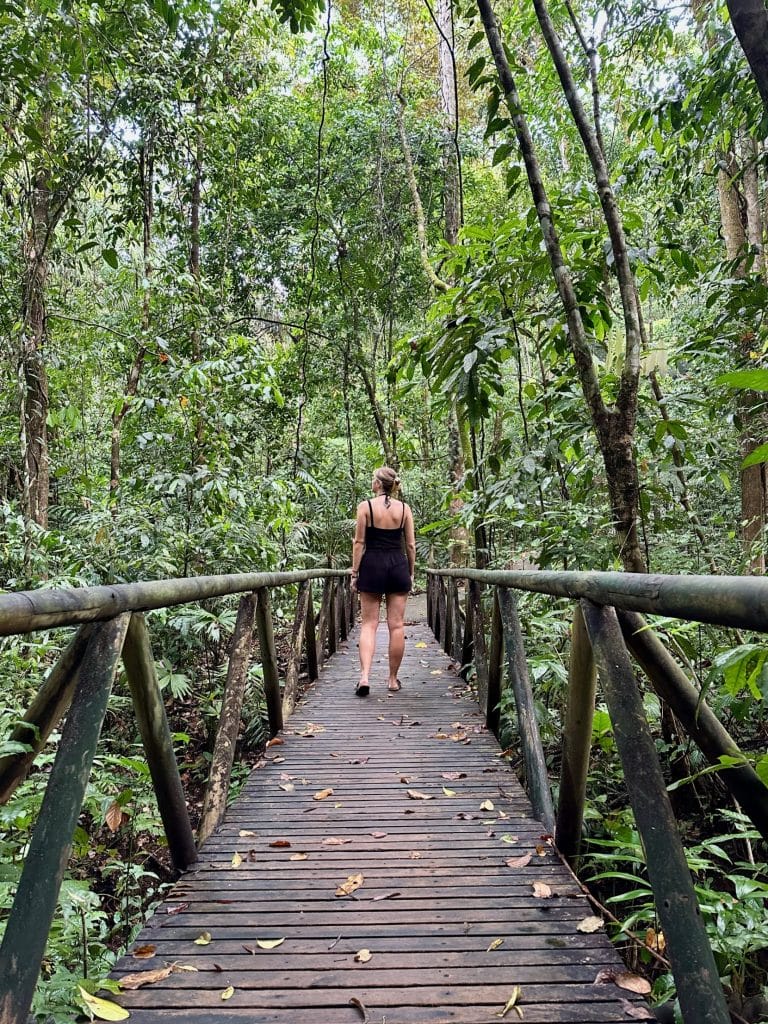 Woman walking on bridge in jungle.