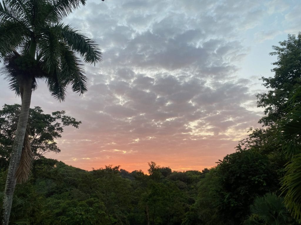 Sunset over the jungle in manuel antonio.