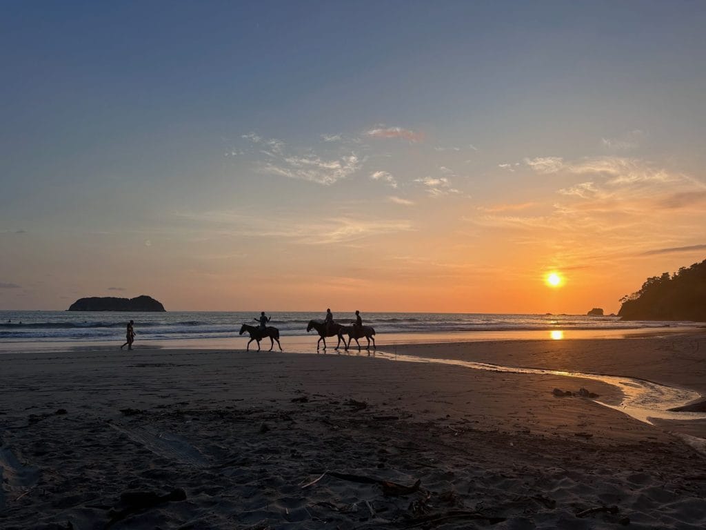 Horses on the beach at sunset in manuel antonio.